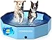COMMOUDS Foldable Dog Pool Collapsible Hard Plastic Dog Kiddie Swimming Pool Portable Pet Bath Tub Wading Pools for Kids and Puppy Small Medium Large Dogs 48inchD x 12inchH - Image 3