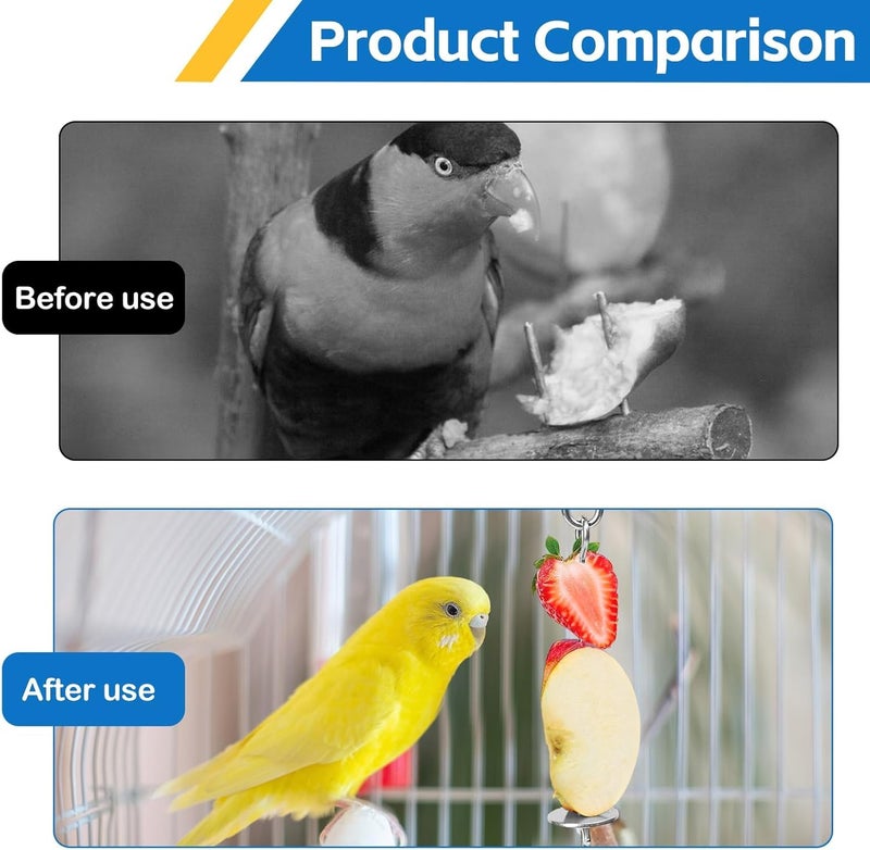 KASTWAVE Surface safe 4 Pieces Stainless Steel Bird Food Holder for Cage - Parrot Fruit & Vegetable Skewers Hanging Basket, Bird Treat Feeders and Enrichment Foraging Puzzle Toys for Small Birds and Cage Pets Varied size selections - Image 5