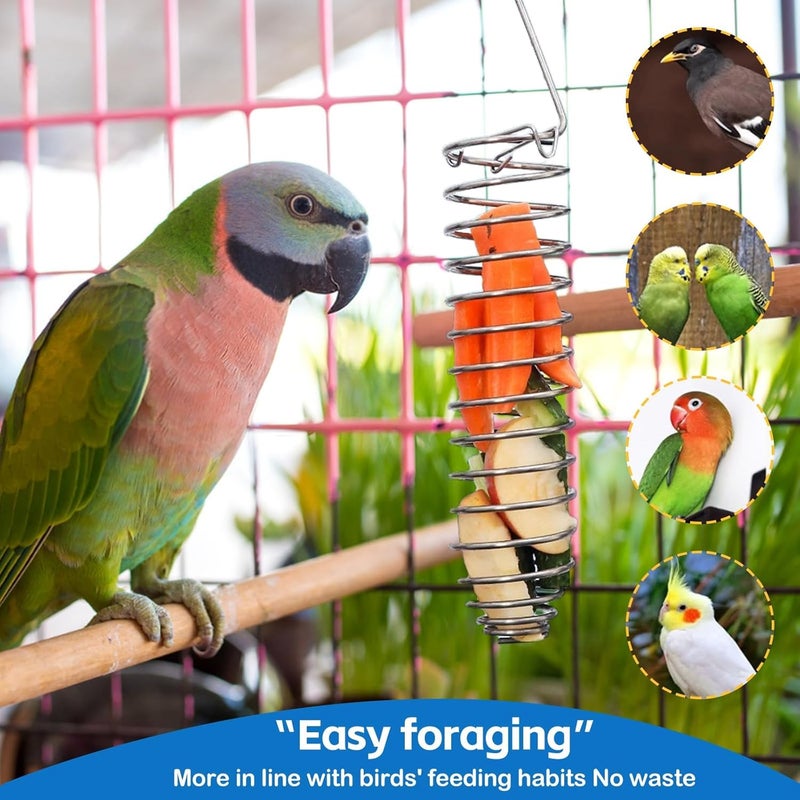 KASTWAVE Surface safe 4 Pieces Stainless Steel Bird Food Holder for Cage - Parrot Fruit & Vegetable Skewers Hanging Basket, Bird Treat Feeders and Enrichment Foraging Puzzle Toys for Small Birds and Cage Pets Varied size selections - Image 3