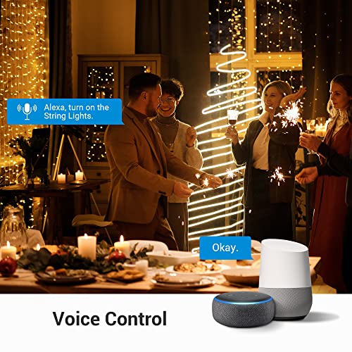 DEWENWILS WiFi Smart Yard Stake Plug with 6 Outlets, Voice Control, Waterproof Power Stake Timer with 6Ft Cord, Alexa&Google Assistant Compatible, 1875W/15A, for Christmas Decoration Lights - Image 4