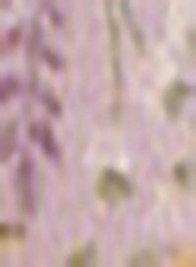 women'secret Classic lavender cotton panties 7