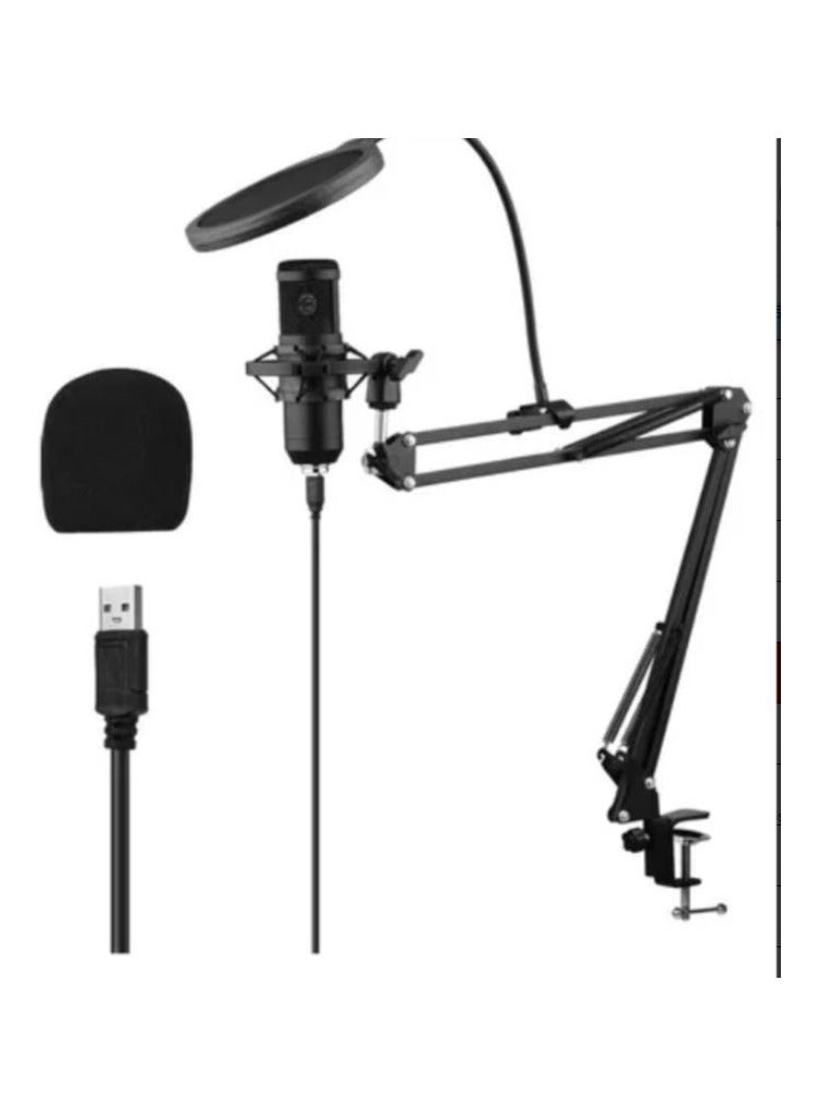 LOULUEN USB Condenser Microphone Set