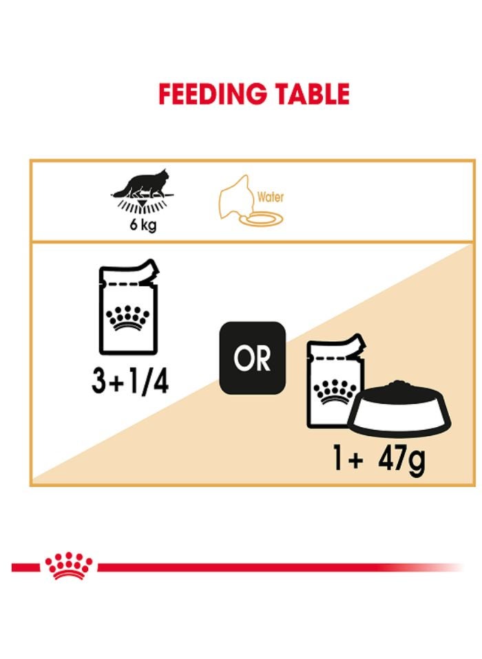 ROYAL CANIN Feline Breed Nutrition Maine Coon (WET FOOD - Pouches) 12 x 85g - Image 4