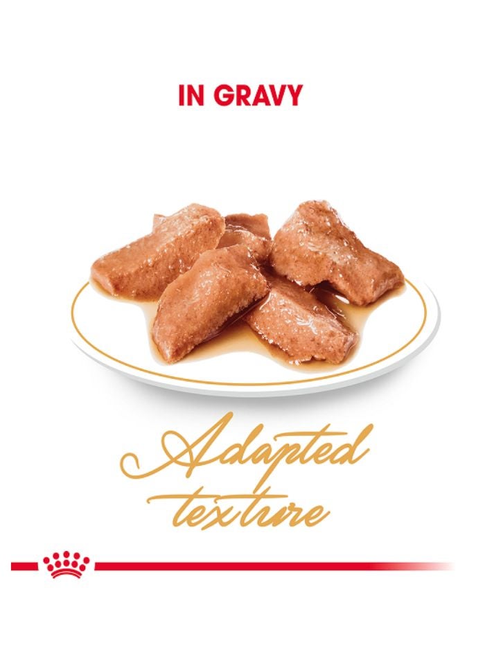 ROYAL CANIN Feline Breed Nutrition Maine Coon (WET FOOD - Pouches) 12 x 85g - Image 2