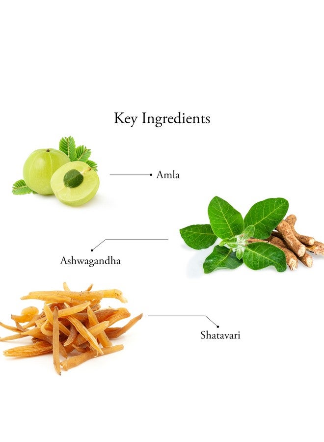 Sitaram Ayurveda Chyavanaprasam 450 gms | Less Moisture Content | Excellent Immune Booster - Image 3