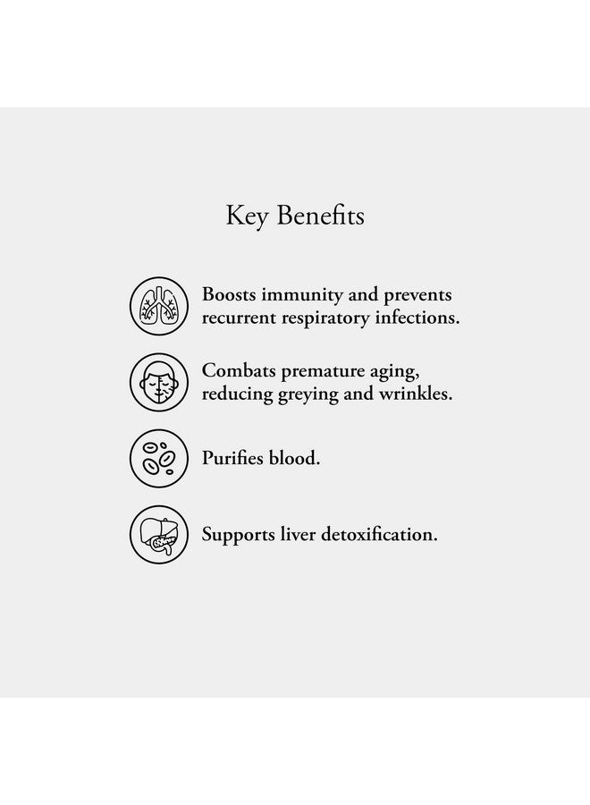 Sitaram Ayurveda Chyavanaprasam 450 gms | Less Moisture Content | Excellent Immune Booster - Image 2