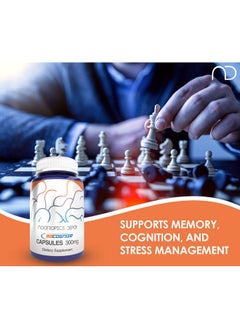 Nootropics Depot Bacognize Bacopa Monnieri 300Mg Capsules (120 Count) Ayurvedic Herb Nongmo Gluten Free And Vegetarian Friendly  - Image 4
