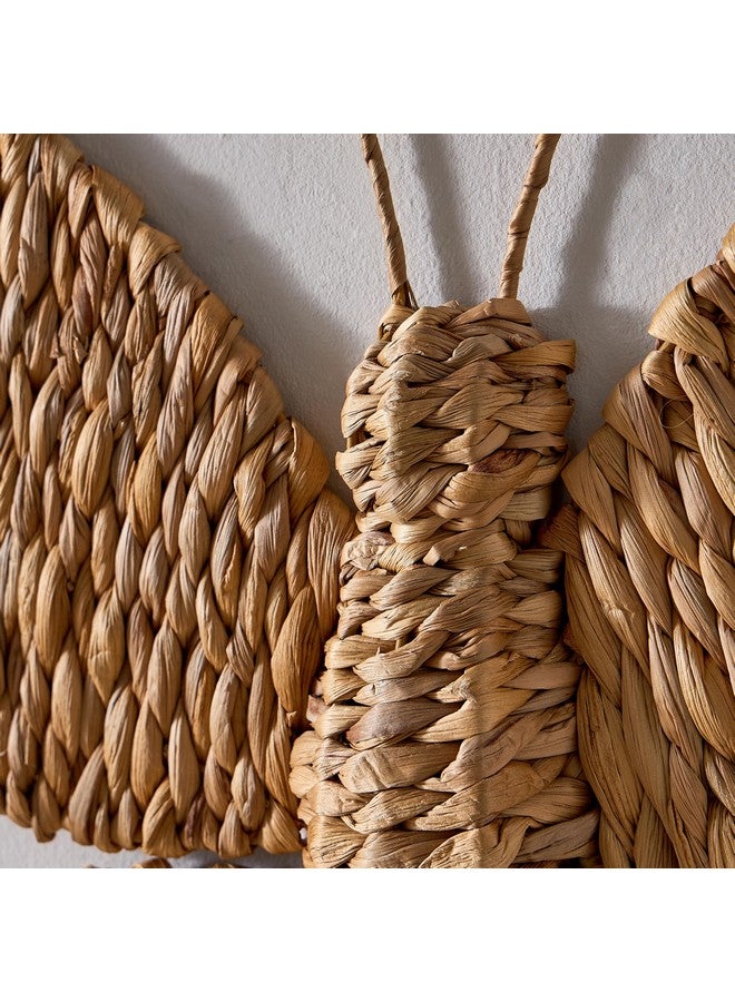 Belmonte Butterfly Water Hyacinth Wall Decor 34 x 6 x 10 cm