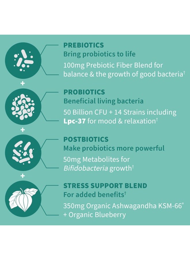 Garden of Life Dr Formulated Calm Daily 3-in-1 Complete Probiotics, Prebiotics & Postbiotics with Ashwagandha - PRE + PRO + POSTBIOTIC Supplement for Immune, Digestive & Mood Support - 30 Day Supply - Image 4