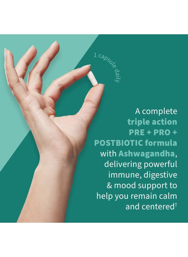Garden of Life Dr Formulated Calm Daily 3-in-1 Complete Probiotics, Prebiotics & Postbiotics with Ashwagandha - PRE + PRO + POSTBIOTIC Supplement for Immune, Digestive & Mood Support - 30 Day Supply - Image 3