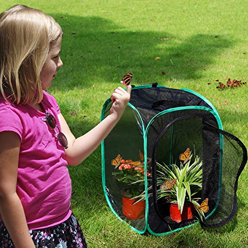 RESTCLOUD Insect and Butterfly Habitat Cage Terrarium Pop-up 23.6 Inches Tall - Image 2