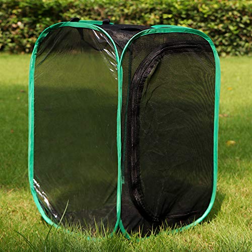 RESTCLOUD Insect and Butterfly Habitat Cage Terrarium Pop-up 23.6 Inches Tall - Image 4