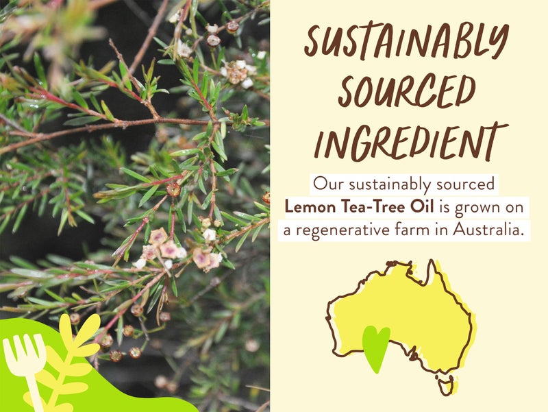 Babo Botanicals Purifying Lemon Tea Tree & Grapefruit Shampoo â€“ For Flat, Oily Prone Hair â€“ Add body & shine - Passion Fruit Ferment for scalp - Water-Resistant Carton w. 80% Less Plastic â€“ Vegan - Image 5