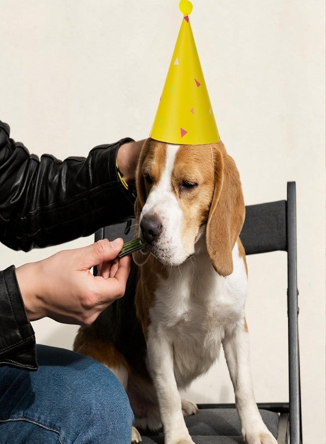 Zelphvt 8PCS Mini Birthday Hats for Stuffed Animals Dog Cat Party Hats with Pom Poms Cute Small Stuffed Animal Birthday Party Hat for Kittens Rabbits, Small Dogs - Image 4
