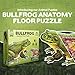 Genius Games Bullfrog Animal Anatomy Floor Puzzle 100Piece Double Sided Jigsaw Puzzle LargeSized Over 4 Feet Scientifically Accurate Illustration of Frog Fun and Educational Toy for Kids Toddlers - Image 4