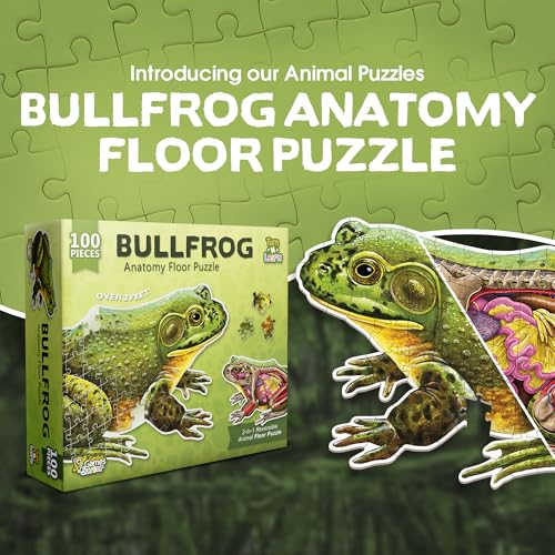 Genius Games Bullfrog Animal Anatomy Floor Puzzle 100Piece Double Sided Jigsaw Puzzle LargeSized Over 4 Feet Scientifically Accurate Illustration of Frog Fun and Educational Toy for Kids Toddlers - Image 5