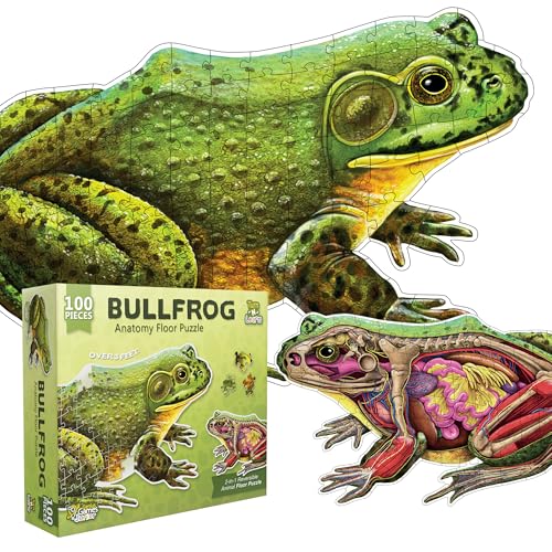 Genius Games Bullfrog Animal Anatomy Floor Puzzle 100Piece Double Sided Jigsaw Puzzle LargeSized Over 4 Feet Scientifically Accurate Illustration of Frog Fun and Educational Toy for Kids Toddlers - Image 1