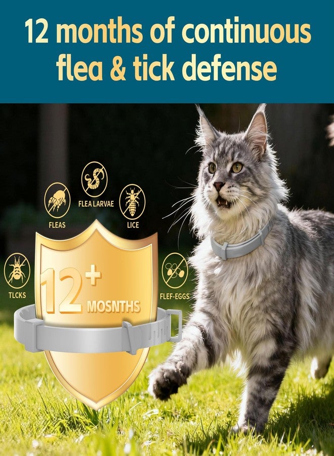 VivaElixir Flea and Tick Collar for Cats 2 Pack, 12 Months of Cat Flea Collar Protection 2 Collars Made with Premium Plant Based Essential Oil Waterproof and Natural Treatment Prevention Free Comb - Image 2