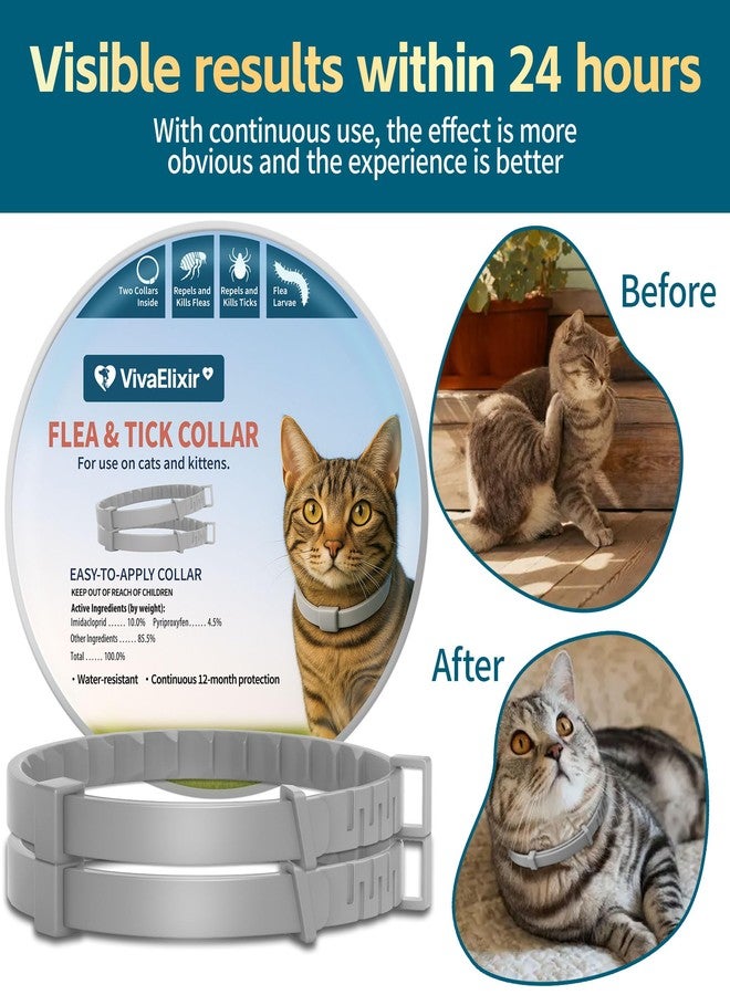 VivaElixir Flea and Tick Collar for Cats 2 Pack, 12 Months of Cat Flea Collar Protection 2 Collars Made with Premium Plant Based Essential Oil Waterproof and Natural Treatment Prevention Free Comb - Image 3