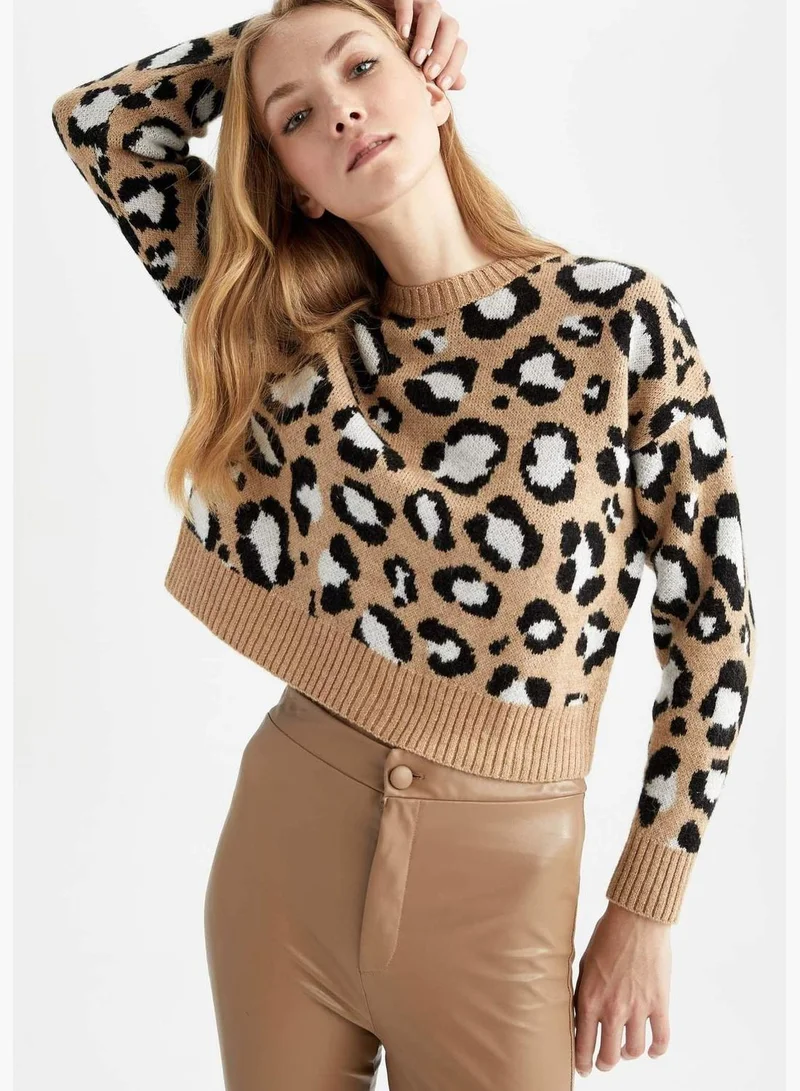 DeFacto Woman Regular Fit Crew Neck Long Sleeve Tricot Pullover
