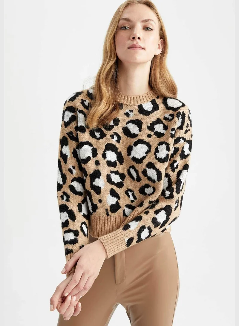 DeFacto Woman Regular Fit Crew Neck Long Sleeve Tricot Pullover