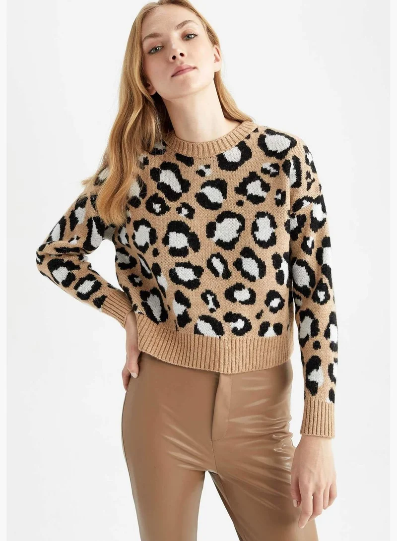 DeFacto Woman Regular Fit Crew Neck Long Sleeve Tricot Pullover