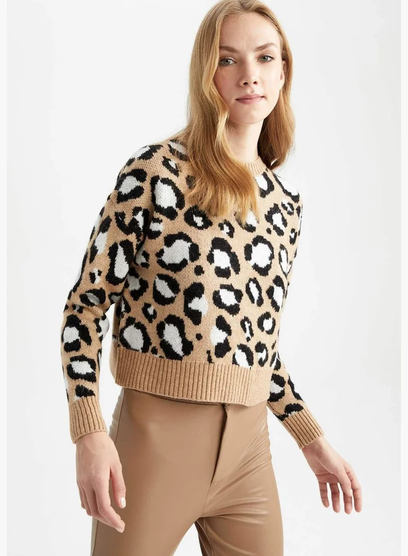 DeFacto Woman Regular Fit Crew Neck Long Sleeve Tricot Pullover