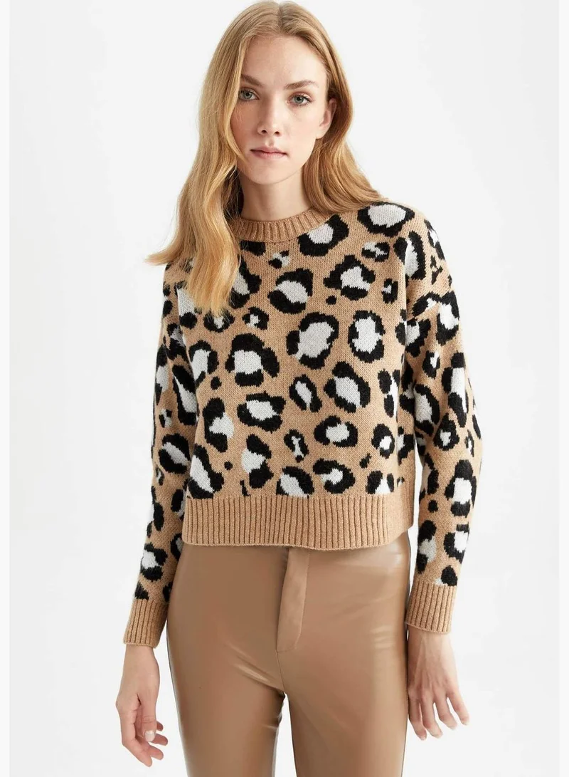 DeFacto Woman Regular Fit Crew Neck Long Sleeve Tricot Pullover