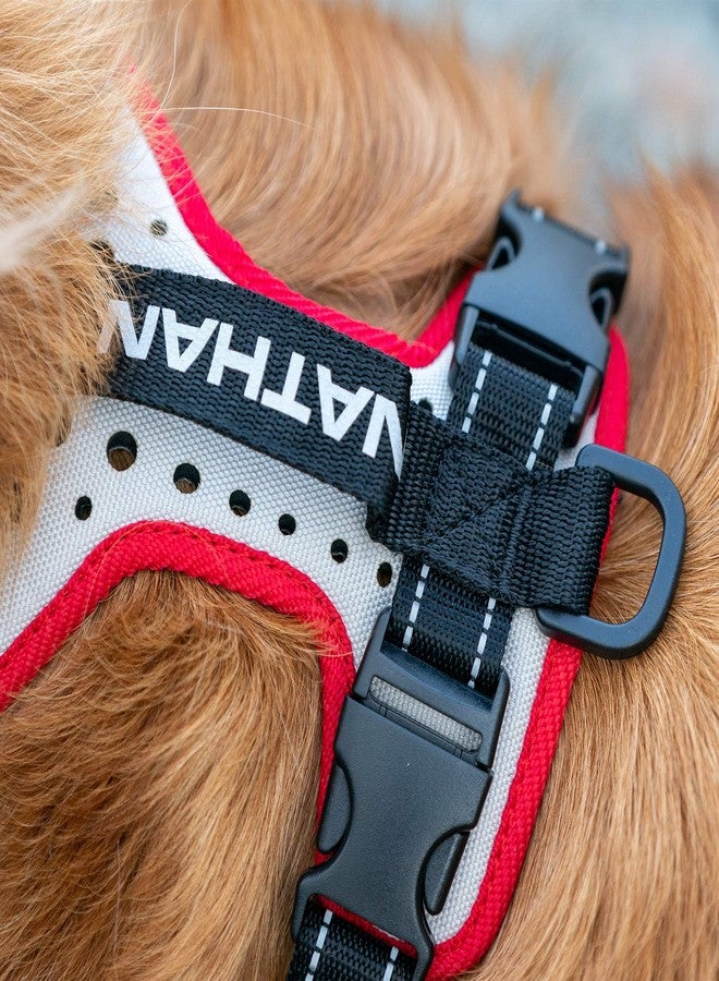 Nathan Reflective Dog Harness - K9 Series - Image 3