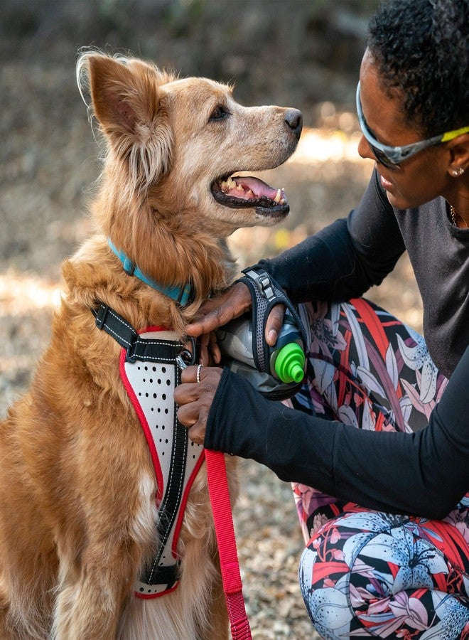 Nathan Reflective Dog Harness - K9 Series - Image 4