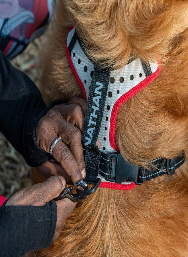 Nathan Reflective Dog Harness - K9 Series - Image 5