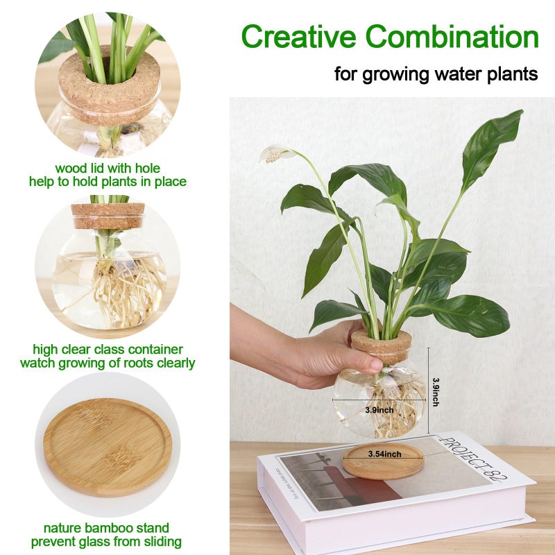CHPINDAM Plant Propagation Station Hydroponic Glass Container Vase Jars  with Wooden Saucer for Desks  Houses  Garden Decorations  Home Kitchen Decorations and Gifts for Plant Lovers (2) - Image 2