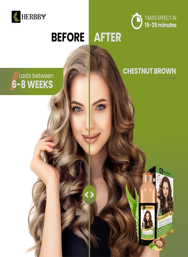 HERBBY Gray Hair Coverage Shampoo & Conditioner - Color Transform with 9 Herbal Extracts, Long-Lasting (6-8 Weeks), Shiny, Even Coloring, Instant Hair Dye, 500 ml (CHESTNUT BROWN) - Image 2