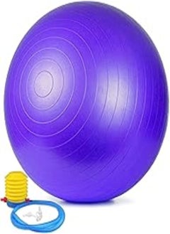 Aleesh Home - Anti Burst Exercise Stability Yoga Fitness Ball 65 CM - with Foot Pump - Total Body Balance For Frigrant Lady - pzsku/Z86A51CDD02B1E3CAFDA9Z/45/_/1722023350/fcab17d5-a188-4076-a80e-bc4c40e1a9c6