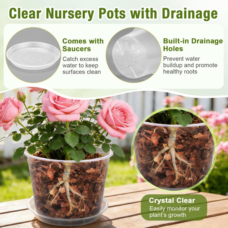 FUOAUYK 12/10/8/6/4 Inch Clear Nursery Pots with Drainage and Saucers, 20 Pack Large Clear Plastic Nursery Pots for Plants, Seedling Plant Pots for Repotting and Growing Plants, Flowers & Vegetables - Image 3