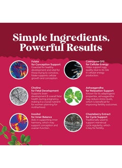 Natures Craft Fertility Gummies for Women Trying to Conceive - Yummy Gummy Fertility Supplement for Women with Myo-Inositol Folic Acid & Vitex Chasteberry - Vegan Non-GMO & Gluten Free - Juicy Peach (30 Servings)  - Image 5