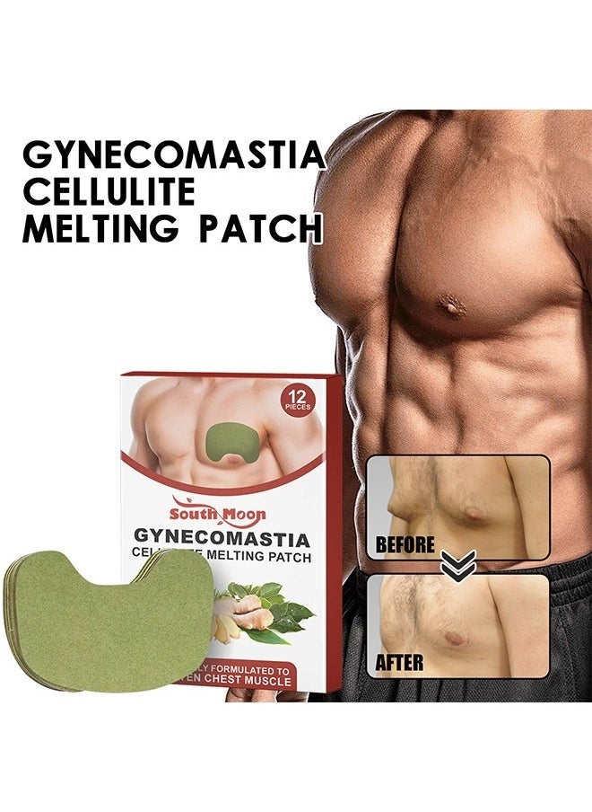 SOUTH MOON 12 Pieces Gynecomastia Plasters for Men, Turmeric Max Plasters, Turmericmax Gynecomastia Compress Plasters, Gynecomastia Cellulite Melting Plasters for Men  - Image 1