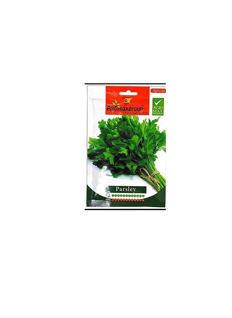 Agrimax Agrimax Parsley Premium Quality Seeds  - Image 2
