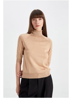 Woman Tricot Regular Fit Turtle Neck 3/4 Sleeve Pullover