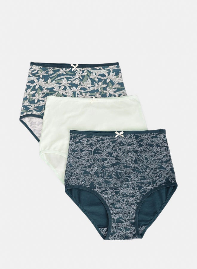 Carina Pack of 3 Colored Full Brief Panties - Image 1