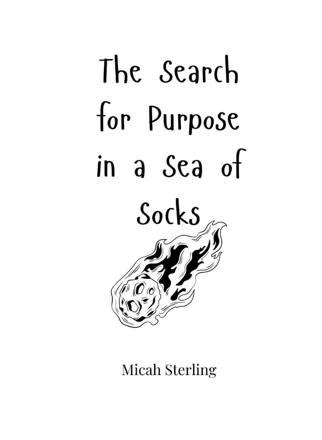 The Search for Purpose in a Sea of Socks - Image 1