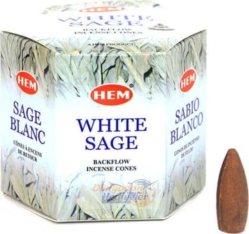 Gifts from the World White Sage Backflow Waterfall Incense Cones 40 Pcs White Sage