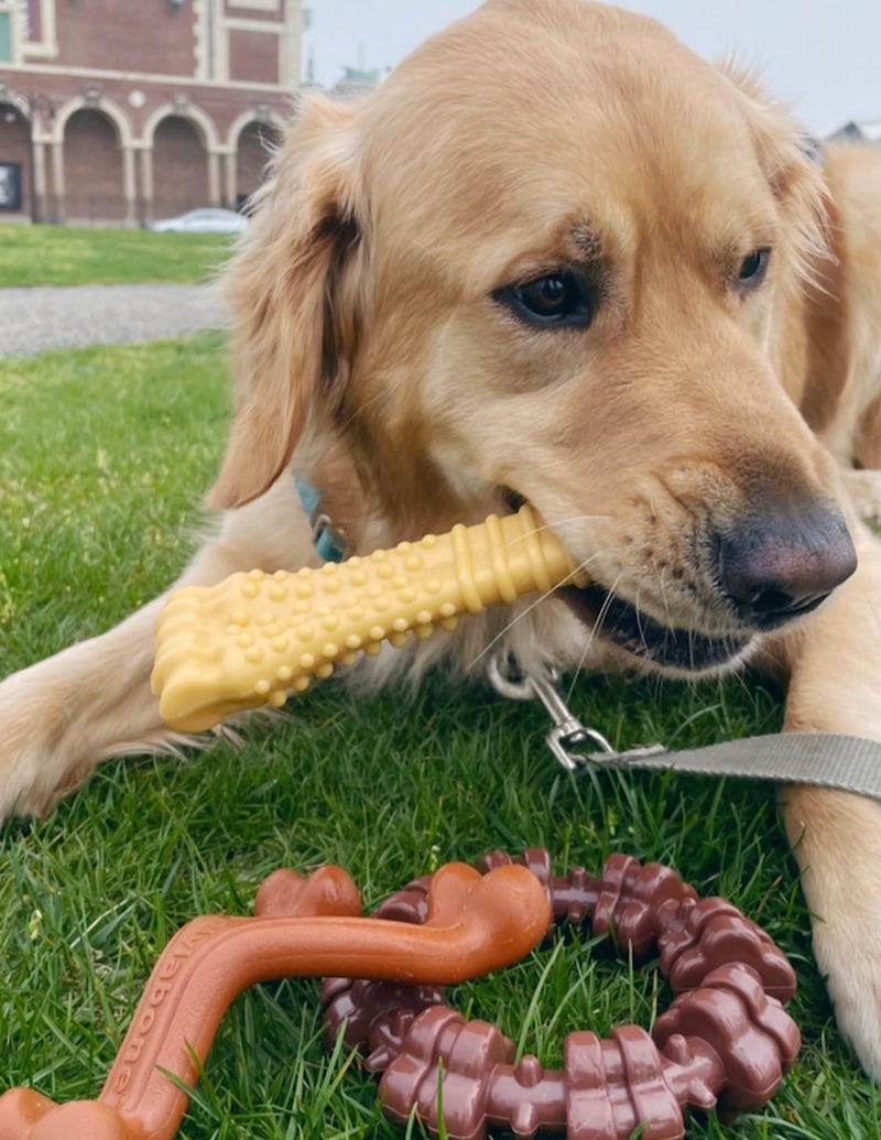 Nylabone Customer Favorites Power Chew Toy Bundle for Dogs, Indestructible Dog Toys for Aggressive Chewers, Pack of 3 Dog Toys, Flavor Medley, Large Dogs - Up to 50 lbs, 3 Pack - Image 2