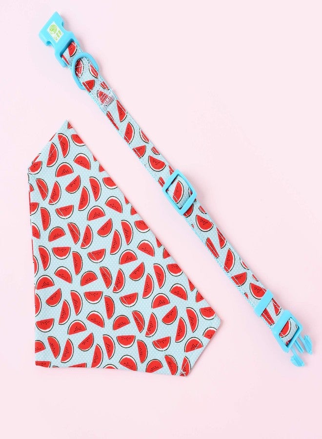 مايل هاي لايف | أطواق للكلاب الإناث | طوق باندانا لطيف | أطواق من قماش البوليستر والقطن الناعم للكلاب الصغيرة | بنقشة زهور وفواكه (بطيخ، طوق وباندانا - صغير) - Image 3