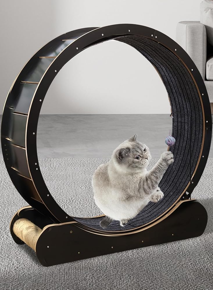 Sharpdo Large Cat Running Wheel Cat Treadmill Exercise Wheel for Indoor - Image 4