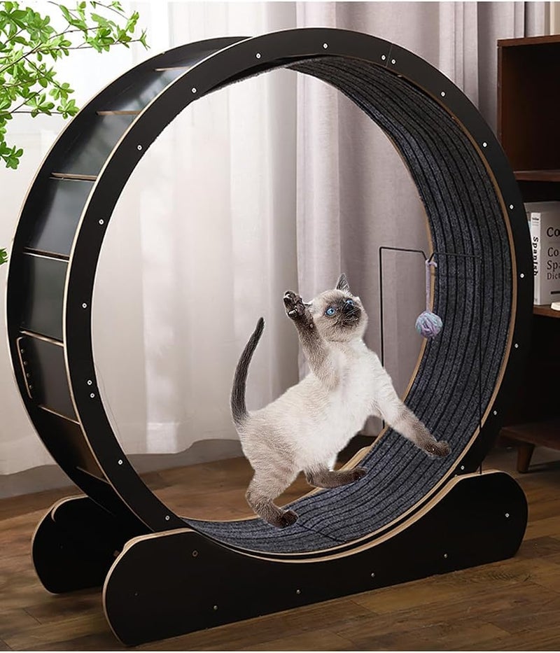 Sharpdo Large Cat Running Wheel Cat Treadmill Exercise Wheel for Indoor - Image 3