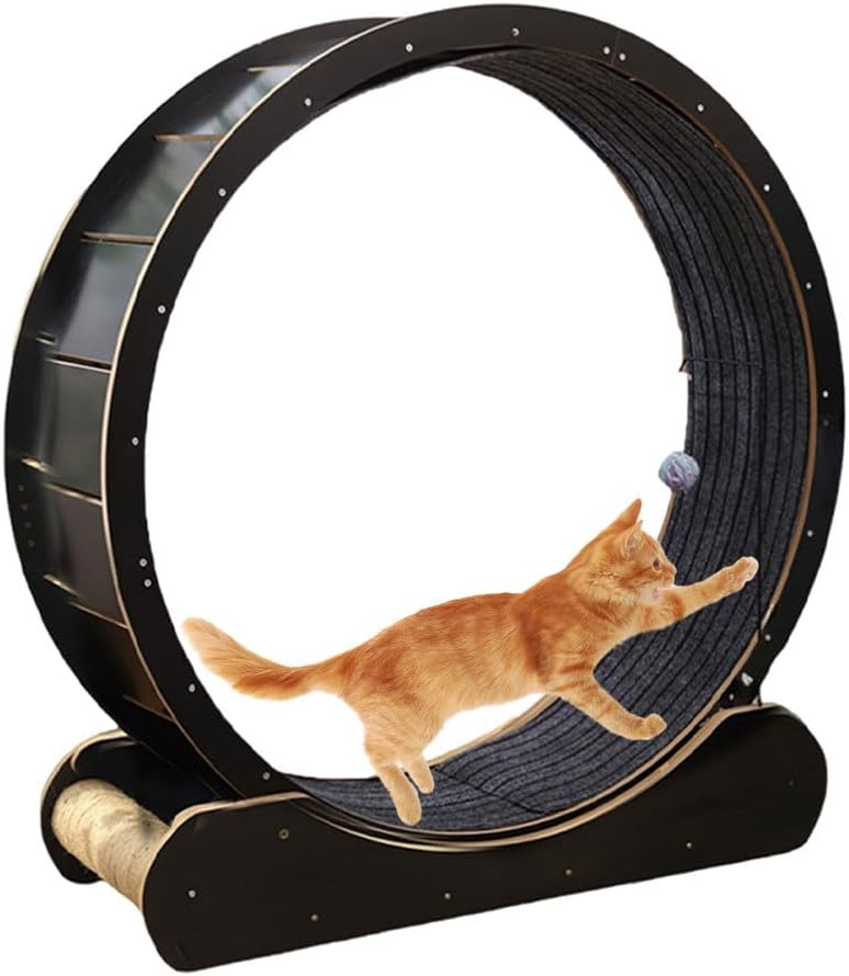 Sharpdo Large Cat Running Wheel Cat Treadmill Exercise Wheel for Indoor - Image 1