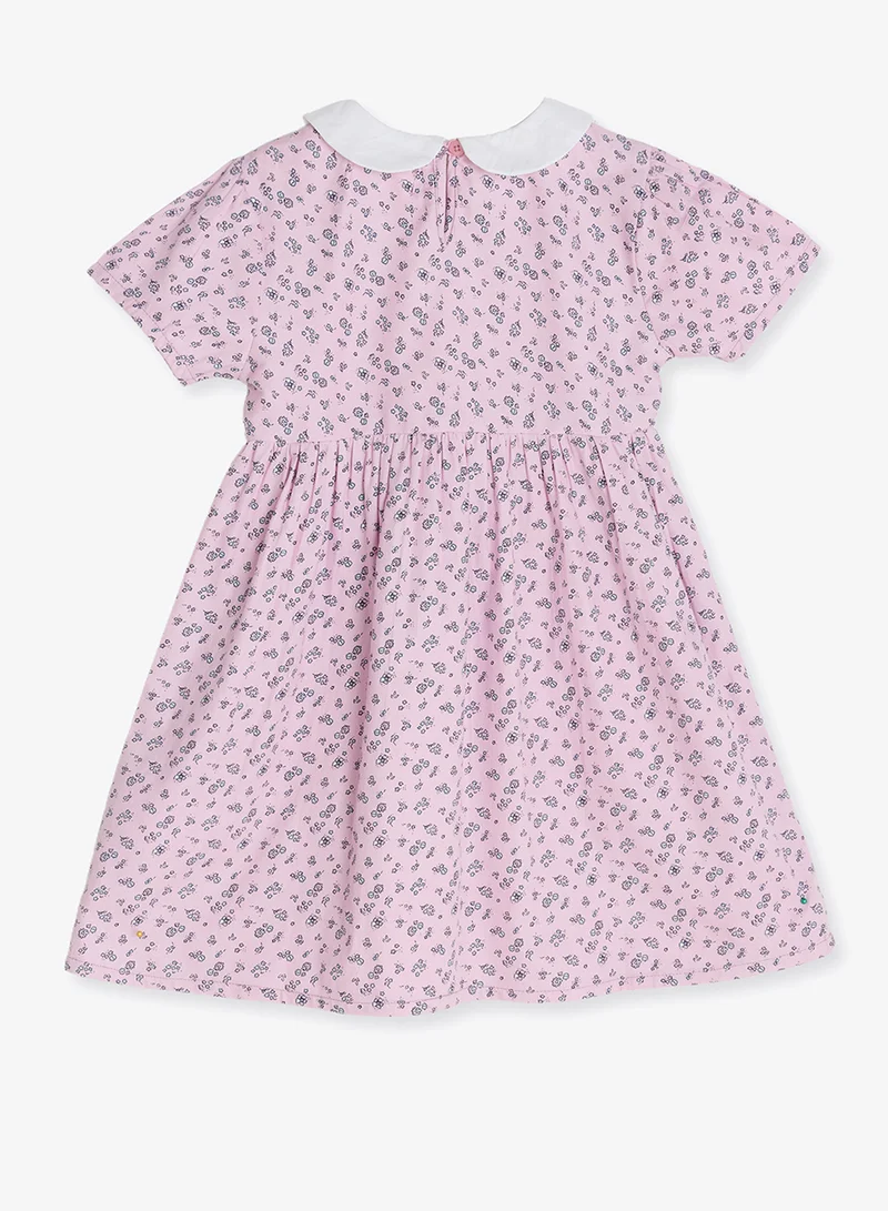 Pinata COLLAR DRESS