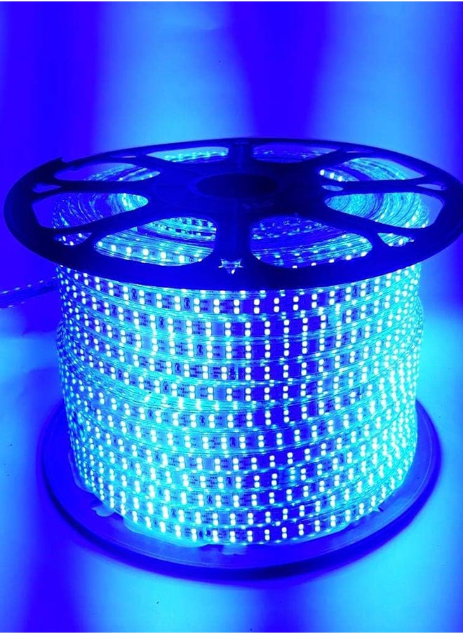 Generic Luminous LED Rope Lighting (Blue  1m) 