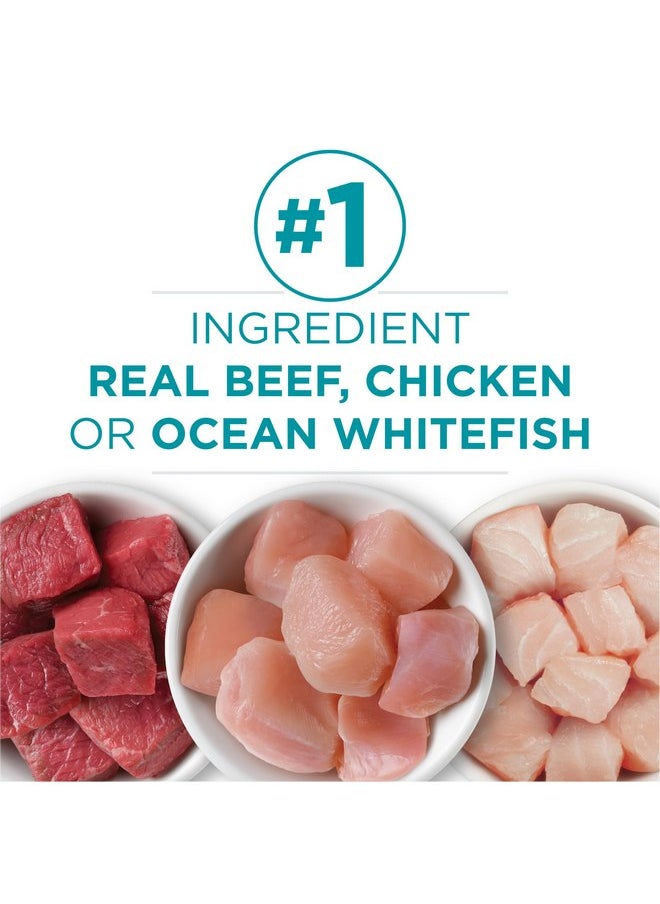 Purina ONE Purina ONE Grain Free, Natural Pate Wet Cat Food Variety Pack, Beef, Chicken and Ocean Whitefish Recipes - (2 Packs of 12) 3 oz. Pull-Top Cans  - Image 3